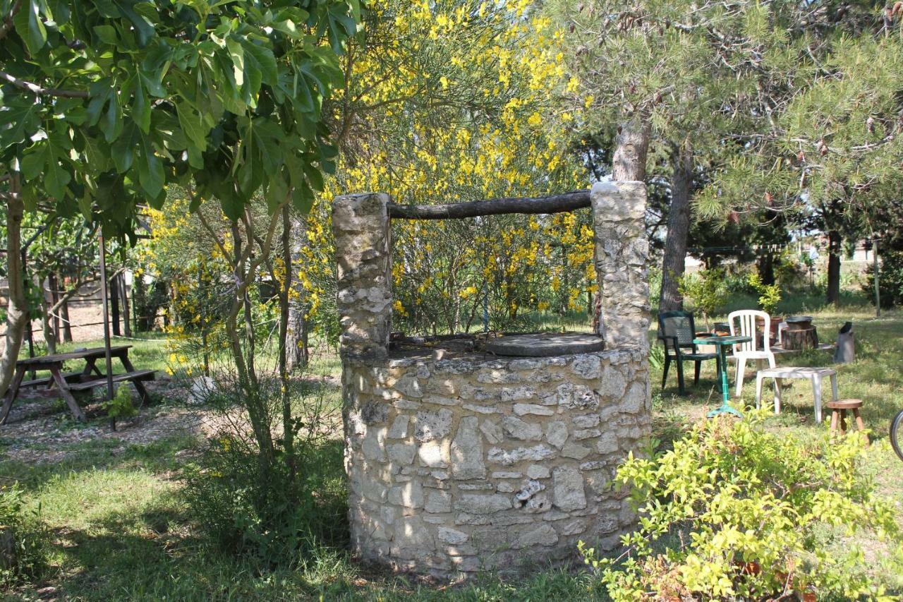 B&B Le Petit Frigouye Rochefort-du-Gard Exterior photo